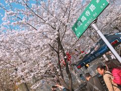 -卓粤拉肠(红庙店)