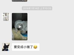 -泰洋动物医院·神经专科·磁共振·CT(天河公园总院)