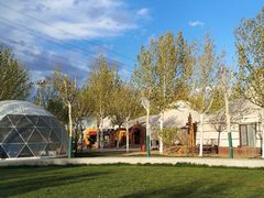 -九十九顶毡房(阜石路店)