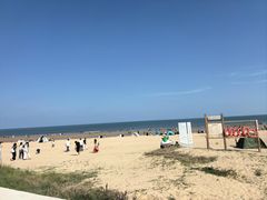 -日照海滨国家森林公园