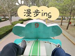 -朝阳公园游乐园