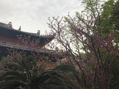 -普陀山风景名胜区-法雨禅寺