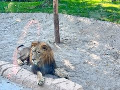 -北京野生动物园