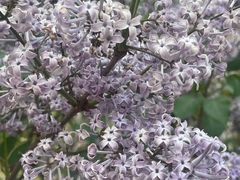 -南开大学(津南校区)