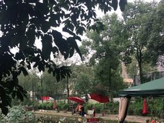 -蜀宴新村·柴火鸡(柏水店)