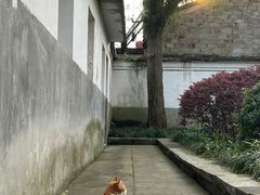 -蒋氏故居