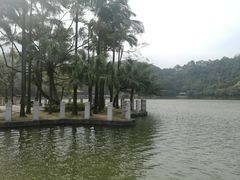 -西樵山风景名胜区-天湖公园