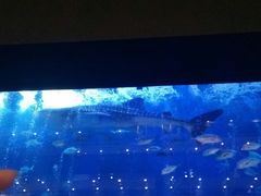 -成都浩海立方海洋公园