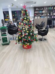 -新晨·SALON·形象造型