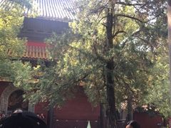 -南岳衡山风景名胜区-南岳大庙