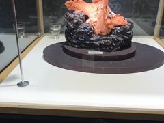 -东海珊瑚博物馆