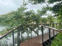 -济州森林小火车生态公园