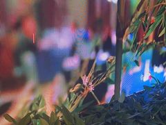 -金狮麟·新豫菜(金码大厦店)