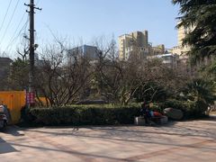 -郑和公园