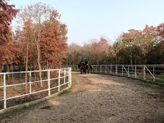 -上海海湾国家森林公园