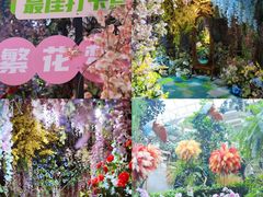 -正佳雨林生态植物园