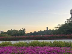 -映月湖公园
