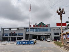 -打洛口岸