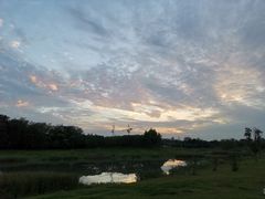 -两河城市森林公园