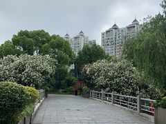 -徽园
