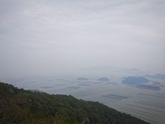 -花竹村