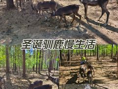 -北极村旅游风景区