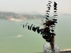-必胜客(海滨店)