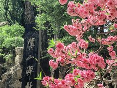 -碑林公园