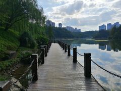 -重庆彩云湖湿地公园
