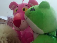 -PAWTOY爪e玩偶店(天兴罗斯福店)