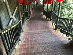 -鲤鱼塘农家山庄