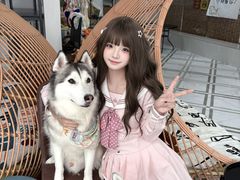 -星多哈·狗咖·拼豆·咖啡