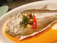 椒麻鲈鱼-绿茶餐厅(崇文门新世界店)