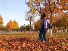 -永定河休闲森林公园