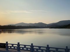 -佛手湖郊野公园