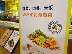 -油梨树AVOCADO TREE(嘉里中心店)