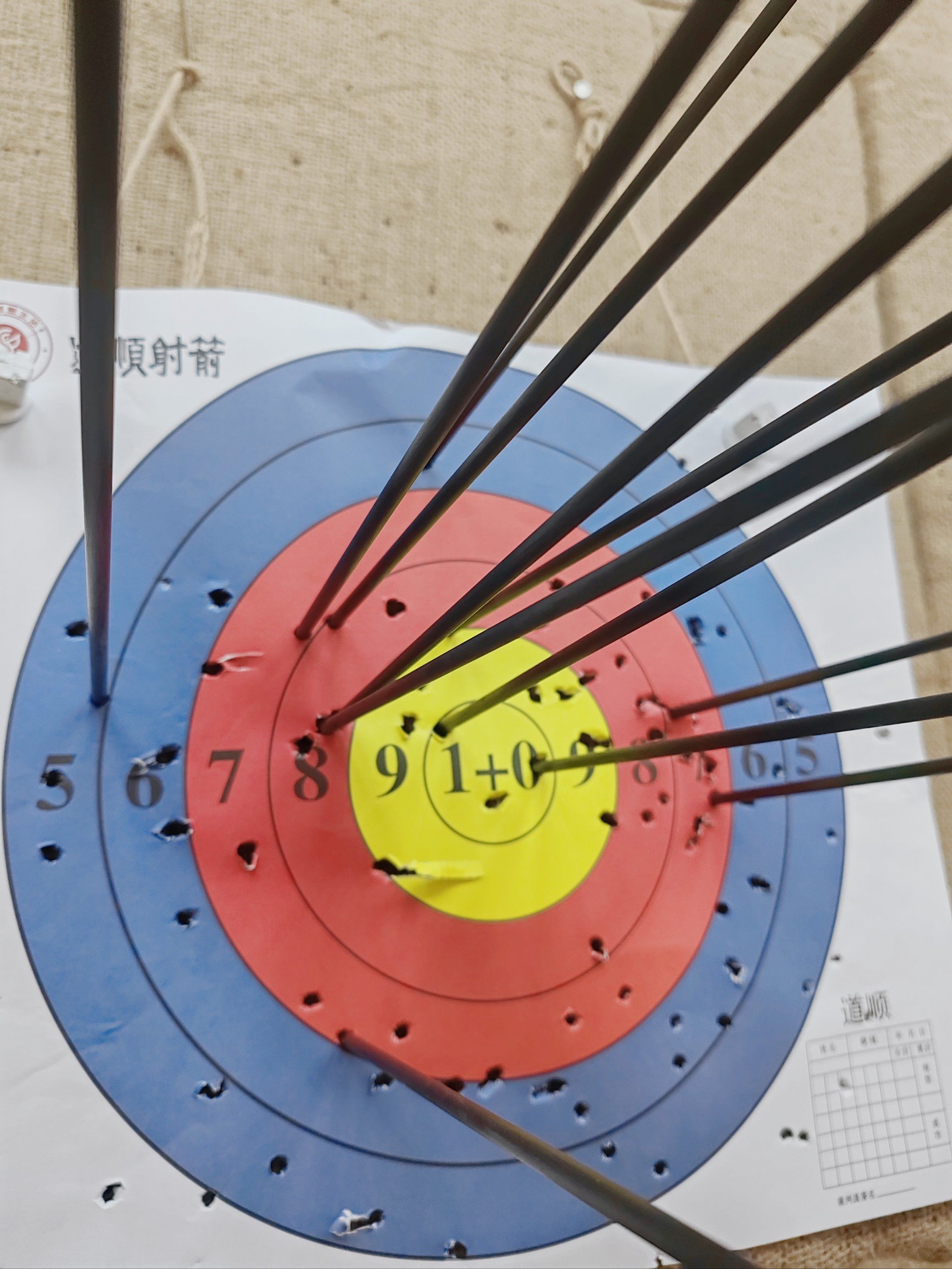 🎯射中10环,不是梦