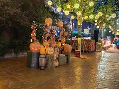 -郑州方特梦幻王国