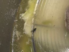 -潮发潮汕牛肉店(龙洞店)