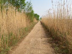 -野鸭湖国家湿地公园