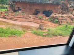 -海南热带野生动植物园