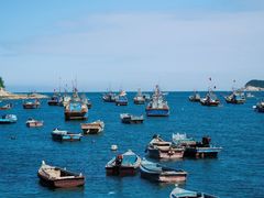 -海源公园