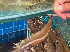 -喜来酌海鲜·饺子(和平一店)