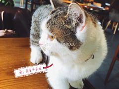 -IFIF 如果花園(宽厚里店)