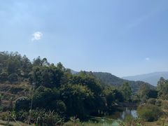 -天强农家菜馆