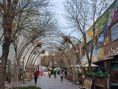 -中粮·祥云小镇