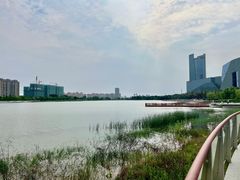 -金沙湖公园