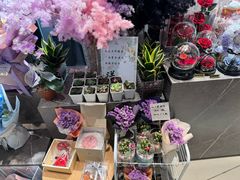 -谷莠子花艺·气球派对·绿植造景·花艺沙龙(金光华广场店)