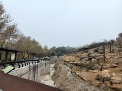 -石家庄市动物园