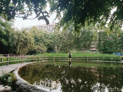 -成都市活水公园
